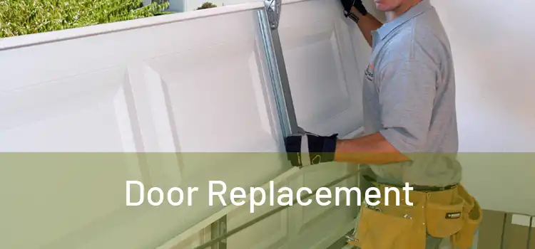  Door Replacement 
